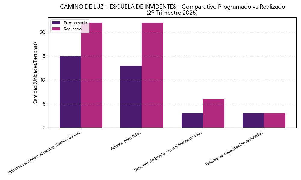 Barras Camino de Luz