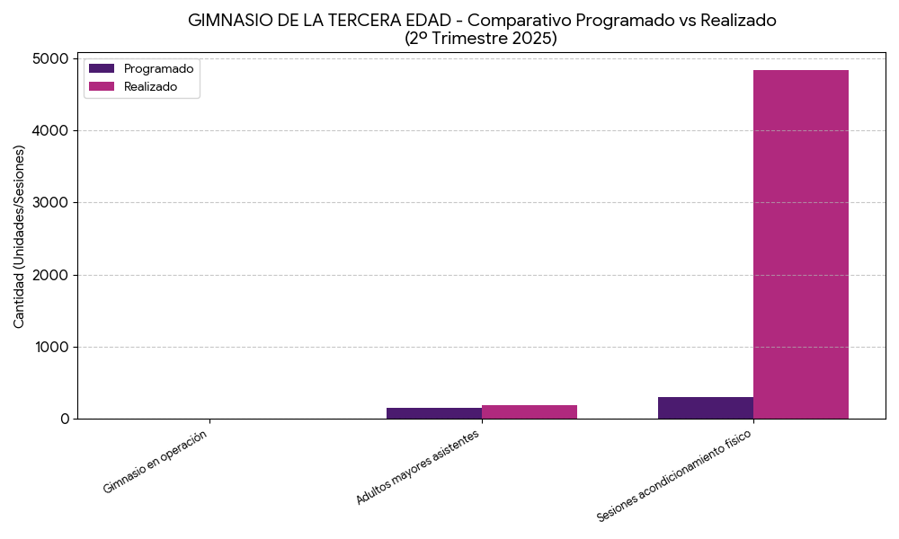 Barras Gimnasio de la Tercera Edad