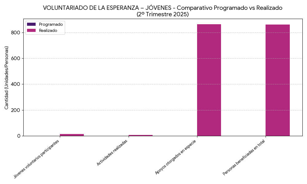 Barras Voluntariado Jóvenes